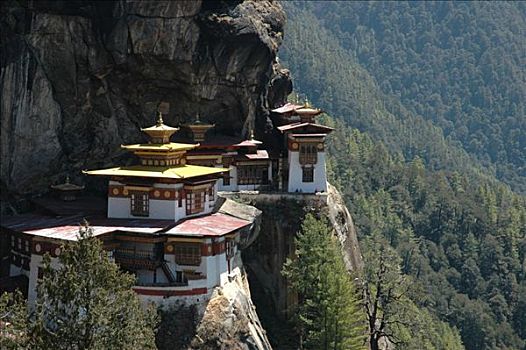 不丹,英国,喜马拉雅山,寺院,靠近,建造,莲花生大师,飞,虎