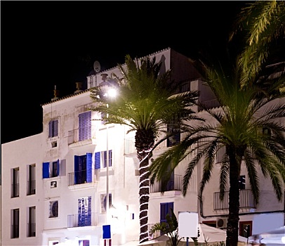 伊比萨岛,白房子,夜晚,棕榈树