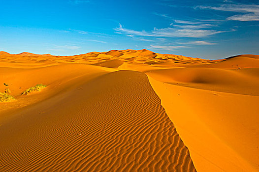 沙子,沙丘,撒哈拉沙漠,南方,摩洛哥,非洲