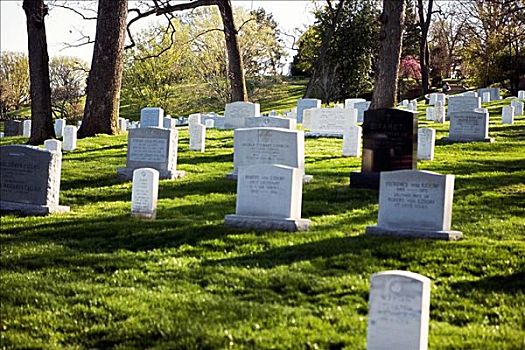 墓碑,墓地,阿灵顿国家公墓,阿灵顿,弗吉尼亚,美国