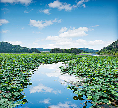 云南省文山州丘北县普者黑景区