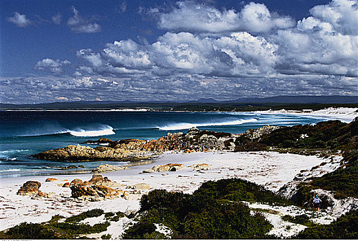 海滩,岩石,海岸线,威廉山国家公园,火焰湾,塔斯马尼亚,澳大利亚