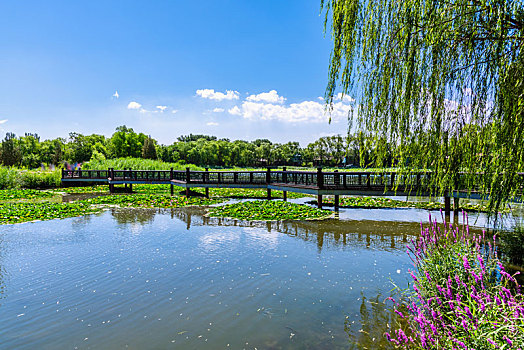 北京圆明园的池塘园林古建筑