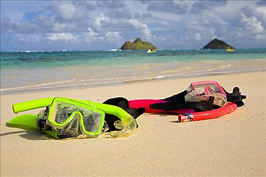 夏威夷,瓦胡岛,两个,通气管,休息,沙,热带沙滩,背景