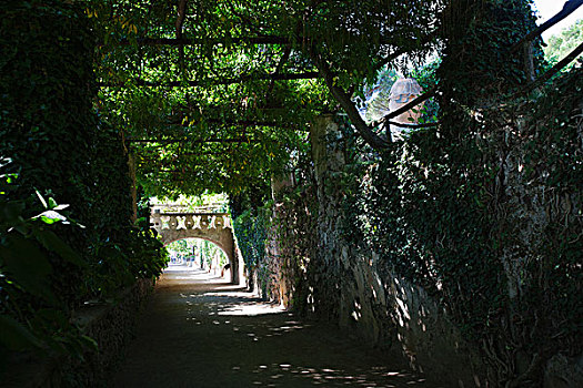 人行道,遮盖,植物,阿马尔菲,坎帕尼亚区,意大利