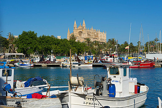 大教堂,渔港,帕尔马,马略卡岛,巴利阿里群岛,西班牙,欧洲