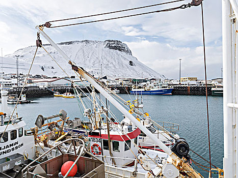 港口,斯奈山半岛,冬天,冰岛,大幅,尺寸