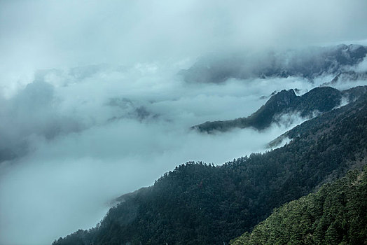 神农架,神农顶,风景,景点,旅游,高山,瀑布,河流,神秘,树木,植被,石头,鄂西,云海,峡谷,壮观