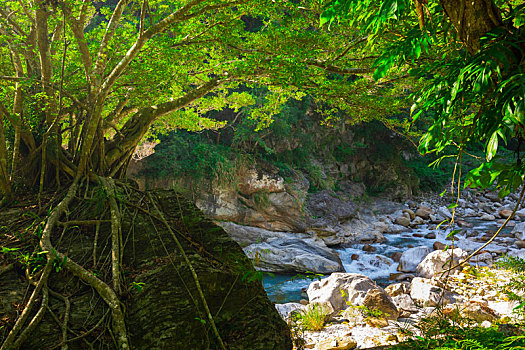 台湾花莲太鲁阁风景区,砂卡礑溪的山谷溪流