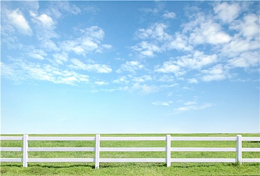 白色,栅栏,青草,蓝天