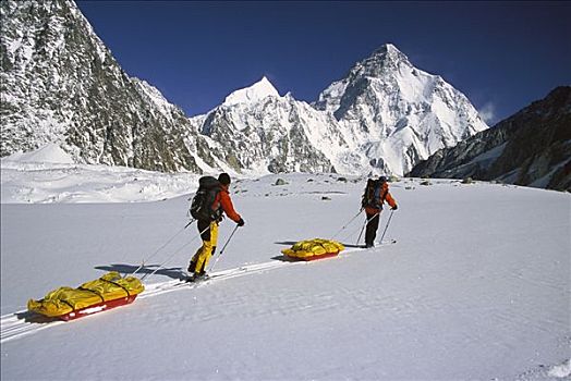 拉拽,雪橇,乔戈里峰,顶峰,世界,喀喇昆仑山,巴基斯坦