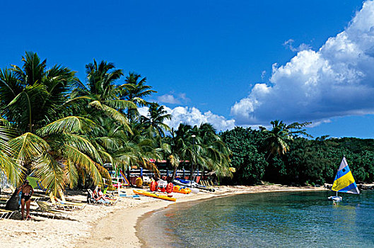 海滩,岛屿,维京群岛,加勒比