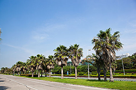 厦门环岛路风景