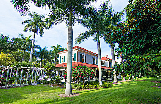 家,博物馆,迈尔斯堡,佛罗里达,户外,房子,棕榈树,地面