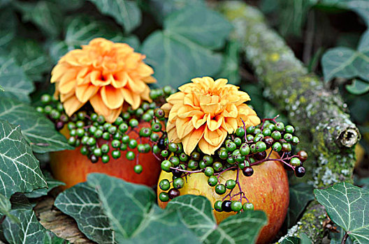 秋天,安放,苹果,花瓶,装饰,花,浆果