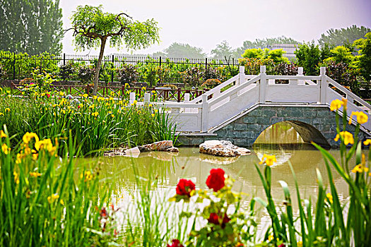 小桥流水,鲜花绿叶