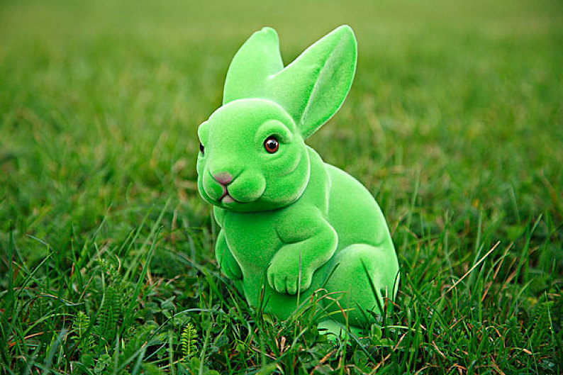 碧绿色的兔子中文版图片