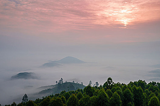 春天山野雾景