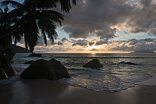 日落,海滩,爱人,马埃岛,塞舌尔,非洲