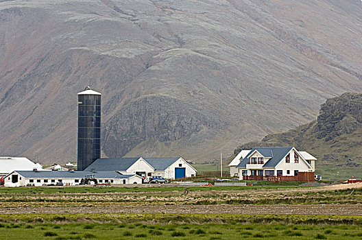 农场,南海岸,靠近,冰岛