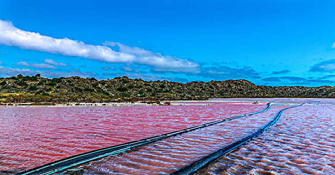 西澳大利亚印度洋独特的天然奇景粉红湖盐藻类泻湖pinklagoon,WesternAustralia
