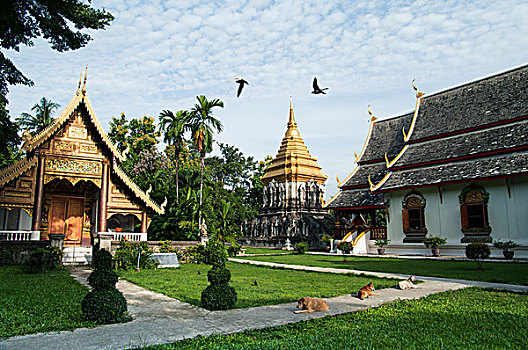 华丽的东南亚寺庙古迹