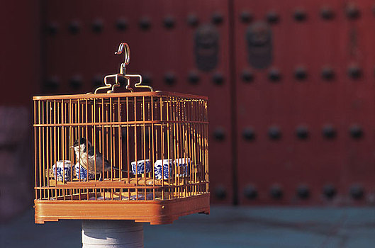 北京故宫门前的鸟笼