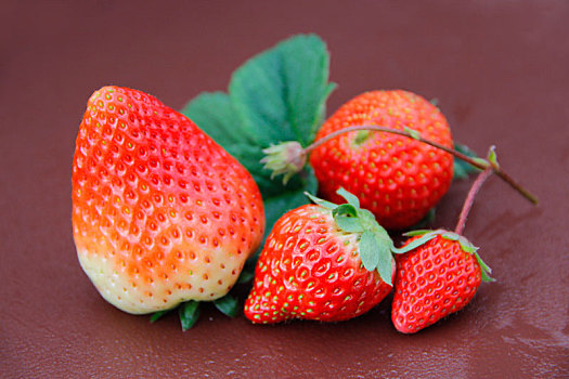 草莓,草莓图片,高清草莓