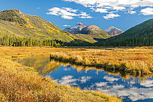 美国,犹他,国家森林,山,河,风景,画廊,大幅,尺寸