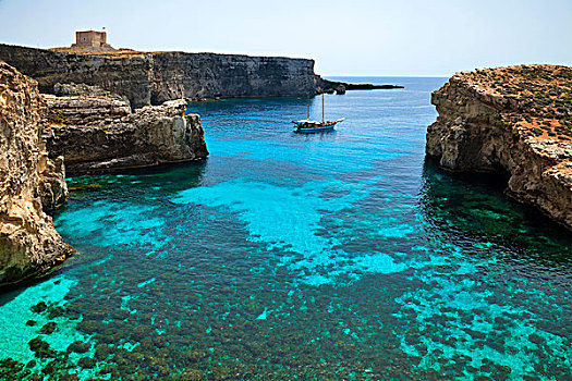 游艇,蓝色泻湖,马耳他,欧洲