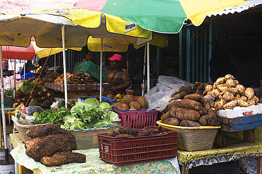 多米尼加,罗索,市场一景,芋头,甘薯,山药,椰子,莴苣