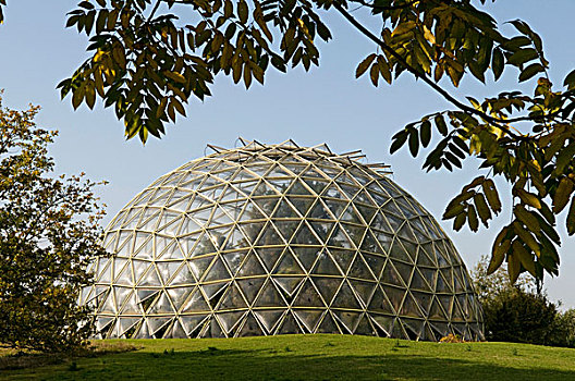 球形,温室,植物园,杜塞尔多夫,北莱茵威斯特伐利亚,德国,欧洲