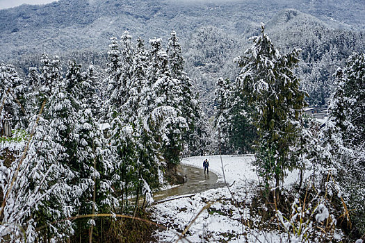 重庆酉阳,又见瑞雪兆丰年