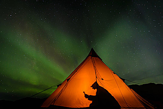 露营,读,室内,帐蓬,北极光,背景,格陵兰