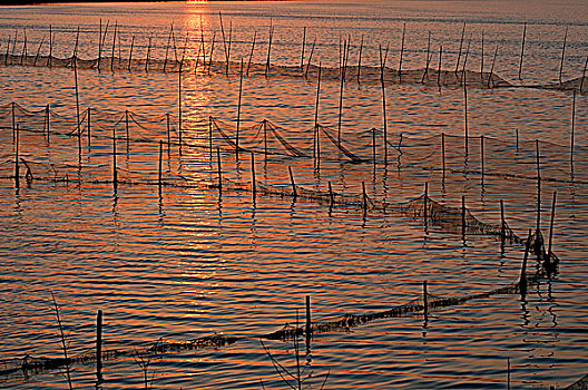 河南省孟州市白墙水库,夕阳下的围网