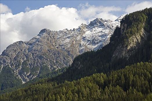 攀升,高处,海平面,山林,白云岩,瑞士,欧洲