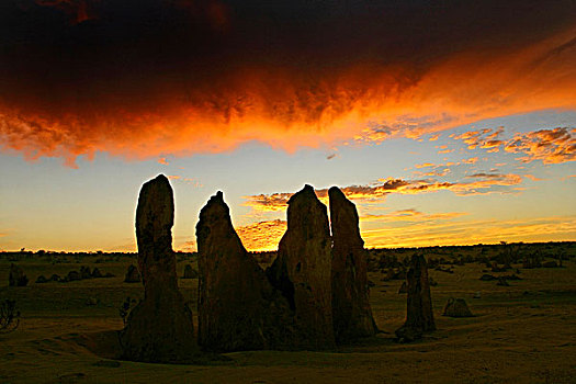 日落,风暴,云,上方,顶峰,荒芜,石灰石,南邦国家公园,西澳大利亚州