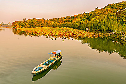 杭州西湖秋景孤山公园