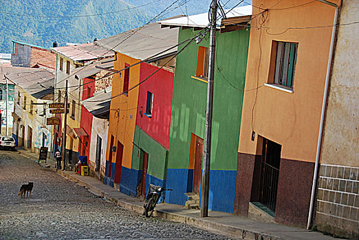 玻利维亚,摩托车,停放,小路,建筑,窗户,排列,彩色,墙壁