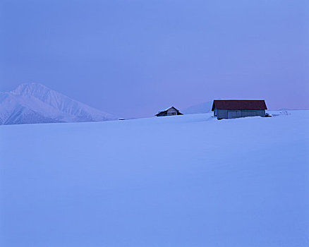 雪原,家