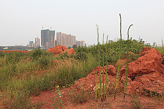 新城市建设