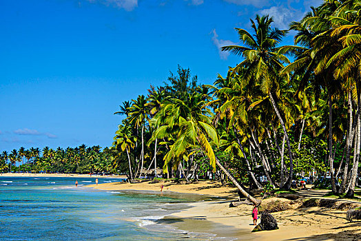 海滩,多米尼加共和国