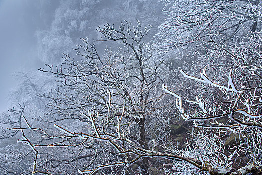 黄山风光