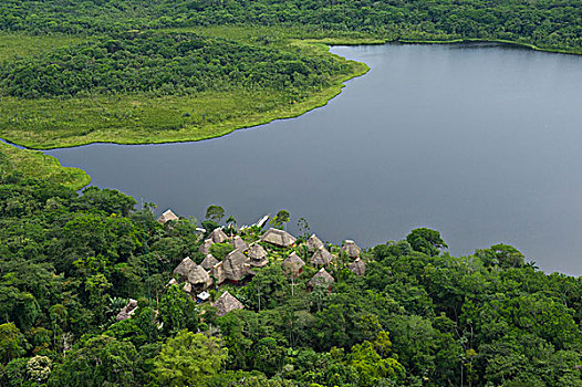 湖,中心,国家公园,亚马逊河,厄瓜多尔