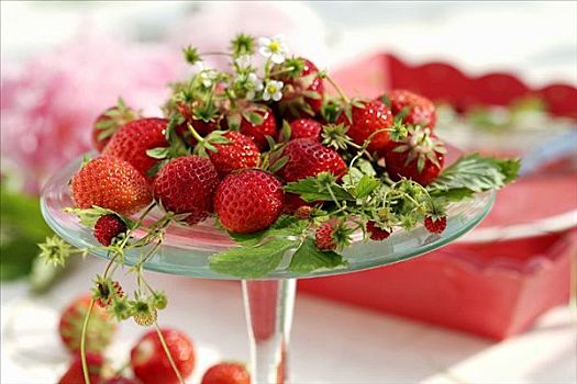新鲜,草莓,野草莓,点心架