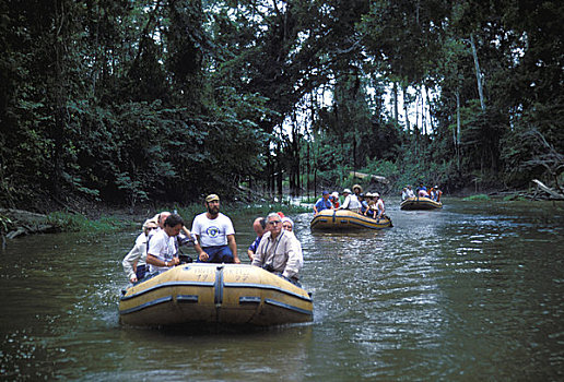 亚马逊河,巴西,游客,橡胶,船,旅游