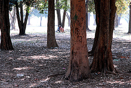 情侣,公园,达卡,孟加拉,二月,2008年
