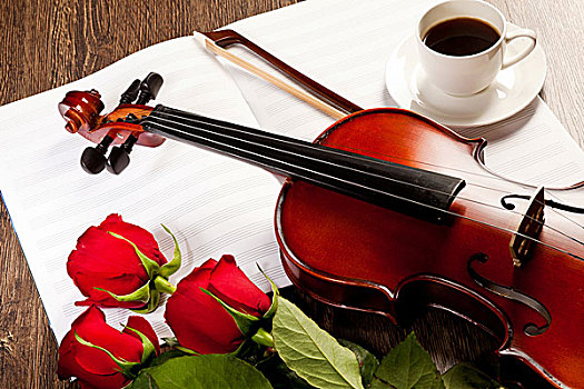 红玫瑰,小提琴