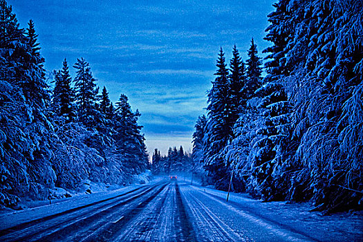 空,积雪,公路,黄昏,瑞典