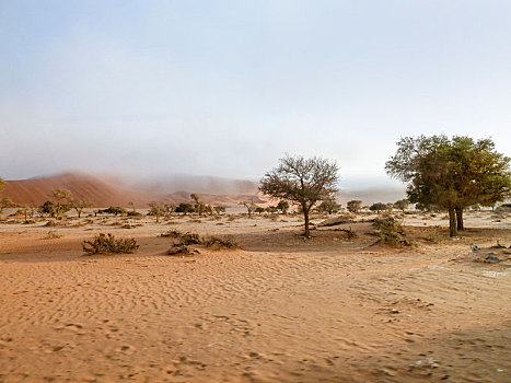 荒芜,风景,纳米比亚